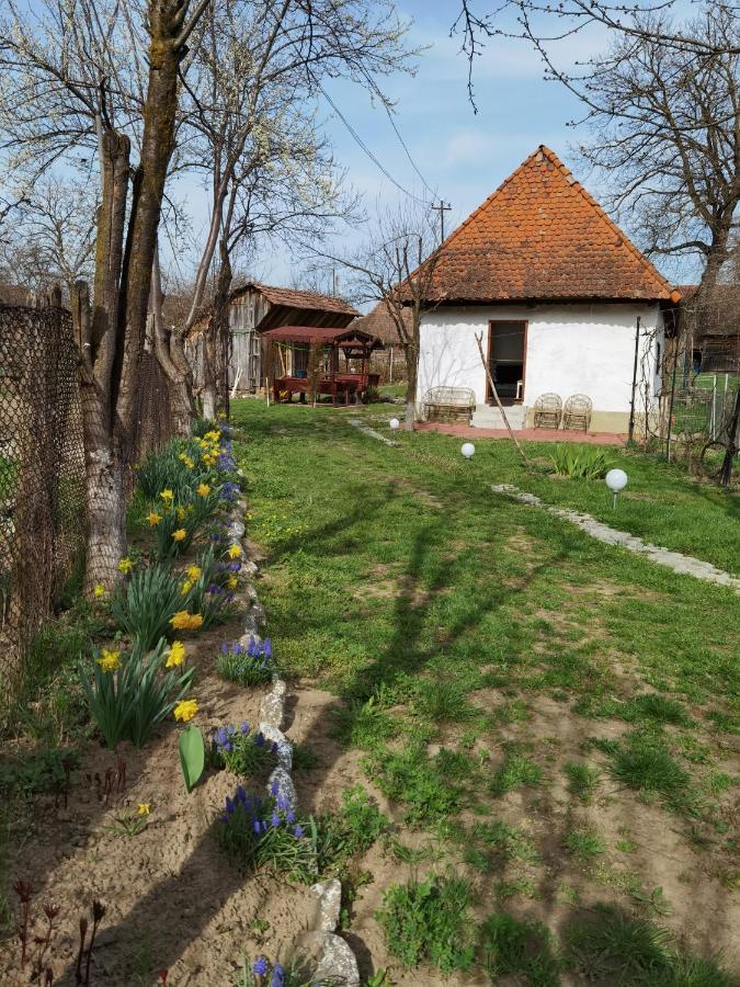 SóVárLak Sarateni Exterior foto